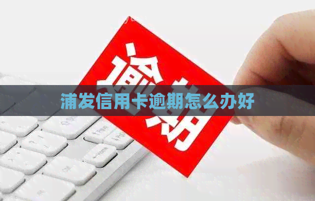 浦发信用卡逾期怎么办好