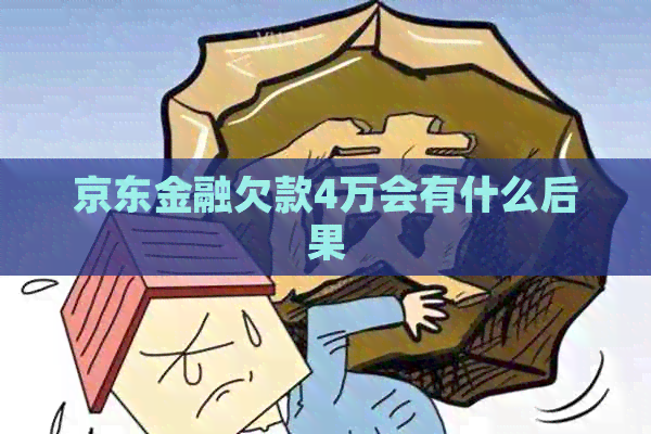 京东金融欠款4万会有什么后果