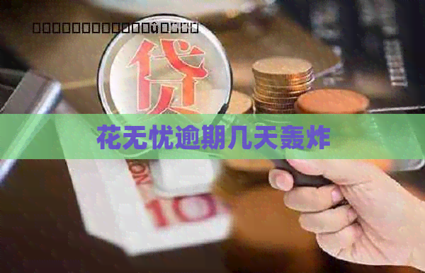 花无忧逾期几天轰炸