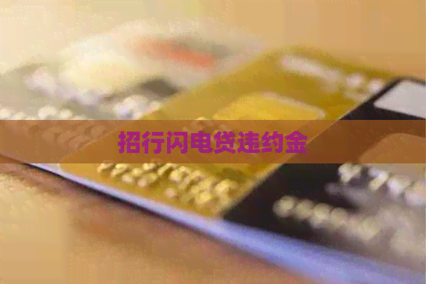 招行闪电贷违约金