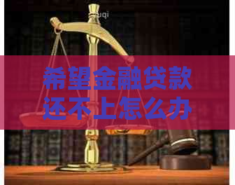 希望金融贷款还不上怎么办