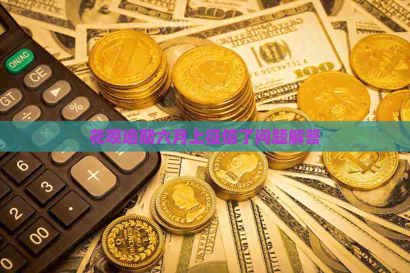 信用卡逾期六月上了问题解答