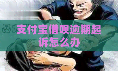 支付宝借呗逾期起诉怎么办