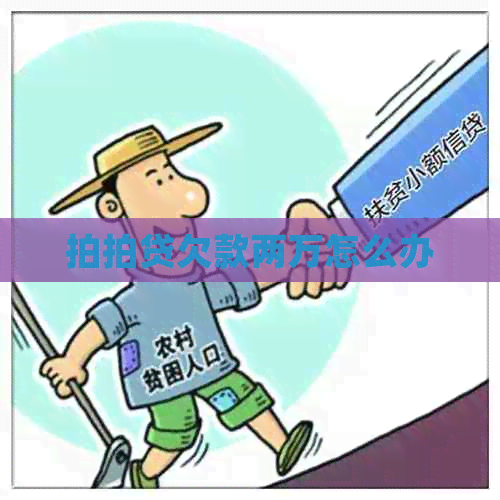 欠款两万怎么办