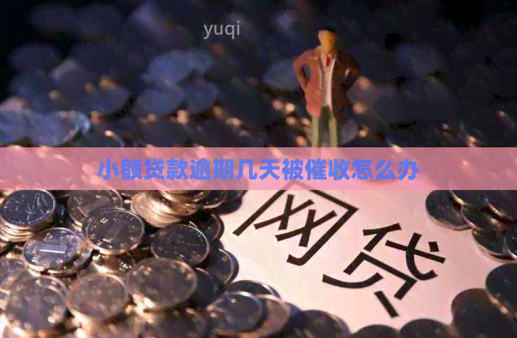 小额贷款逾期几天被怎么办
