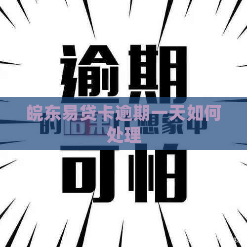 皖东易贷卡逾期一天如何处理