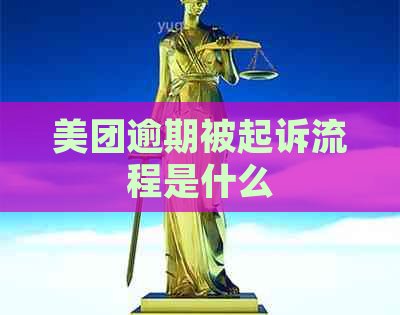 美团逾期被起诉流程是什么