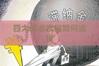 四大机构如何选择