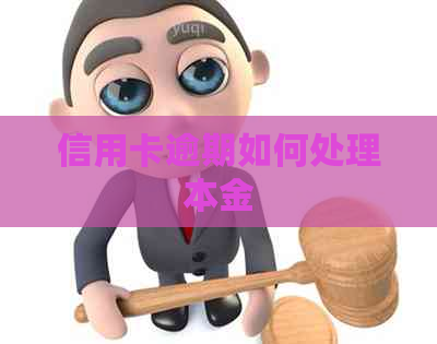 信用卡逾期如何处理本金