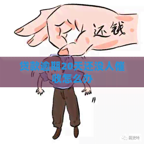 贷款逾期20天还没人怎么办