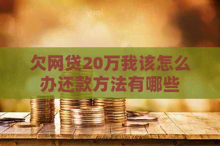 欠网贷20万我该怎么办还款方法有哪些