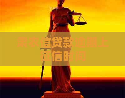 肃农信贷款逾期上时间