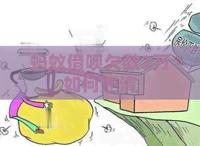 蚂蚁网贷欠款2万如何还清