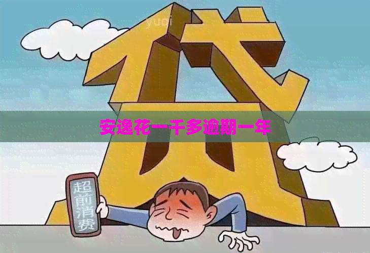 安逸花一千多逾期一年