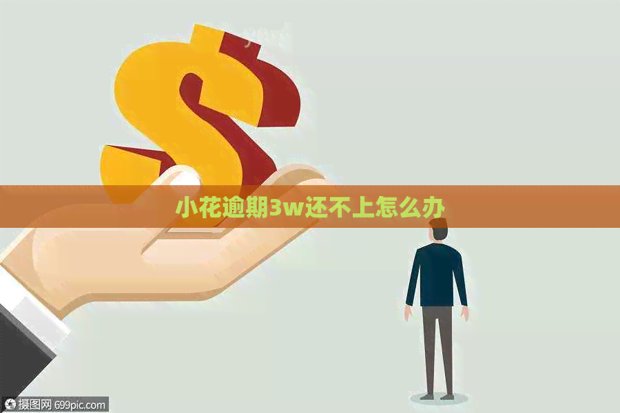 小花逾期3w还不上怎么办