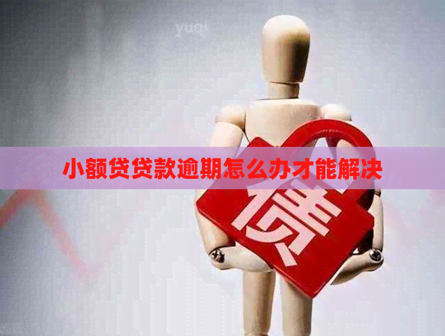 小额贷贷款逾期怎么办才能解决