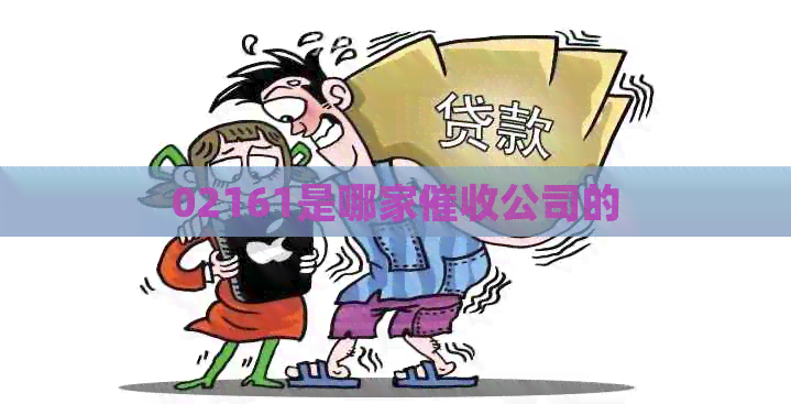 02161是哪家公司的
