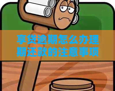 享贷逾期怎么办理期还款的注意事项