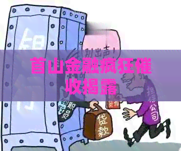 首山金融疯狂揭露