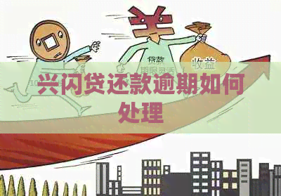 兴闪贷还款逾期如何处理