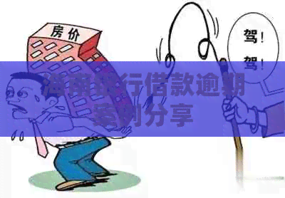海南银行借款逾期案例分享