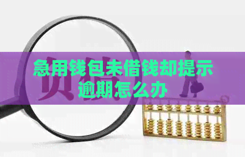 急用钱包未借钱却提示逾期怎么办