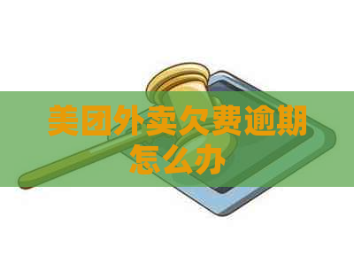 美团外卖欠费逾期怎么办