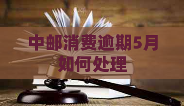 中邮消费逾期5月如何处理