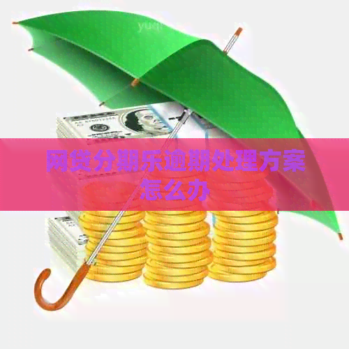网贷逾期处理方案怎么办