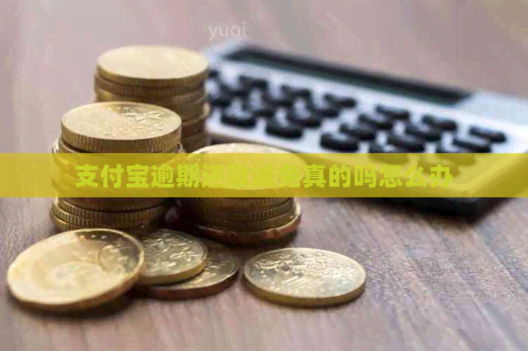 支付宝逾期还款减免真的吗怎么办