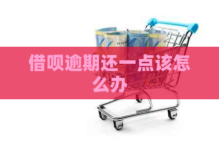 借呗逾期还一点该怎么办