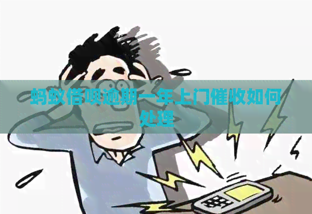 蚂蚁网贷逾期一年上门如何处理