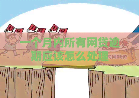 一个月内所有网贷逾期应该怎么处理