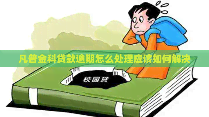 凡普金科贷款逾期怎么处理应该如何解决