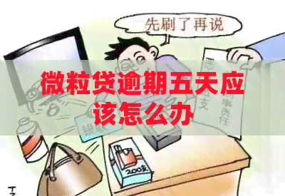 微粒贷逾期五天应该怎么办