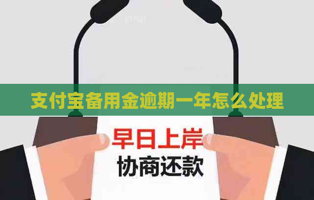 支付宝备用金逾期一年怎么处理