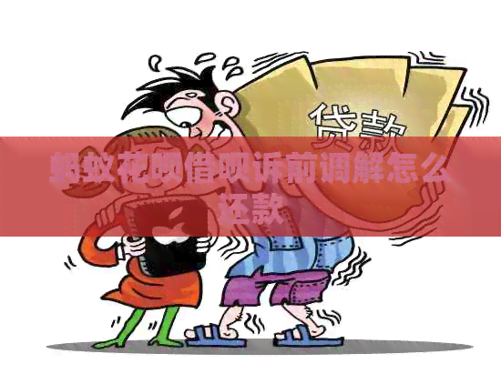 蚂蚁信用卡网贷诉前调解怎么还款