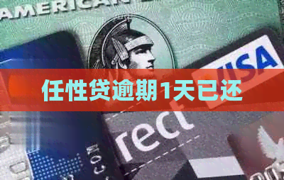 任性贷逾期1天已还