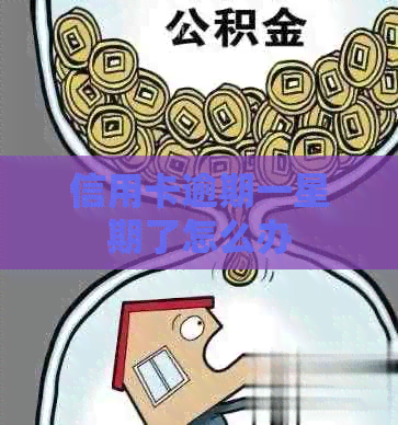 信用卡逾期一星期了怎么办