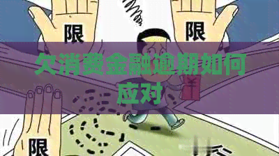 欠消费金融逾期如何应对