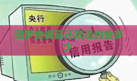 圆梦金提前还款违约金多少