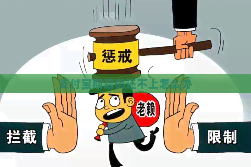 支付宝期后仍还不上怎么办