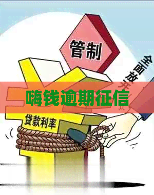 嗨钱逾期
