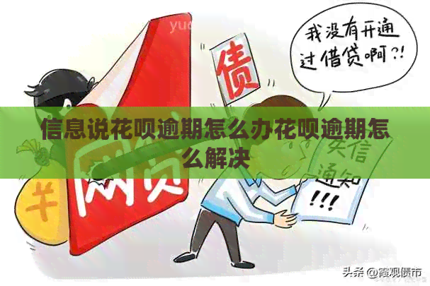 信息说花呗逾期怎么办花呗逾期怎么解决