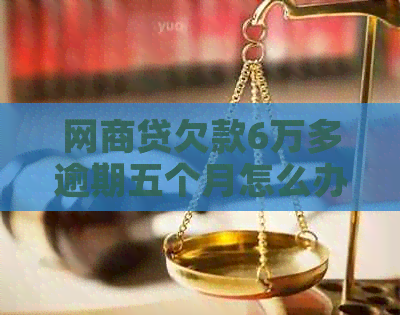 网商贷欠款6万多逾期五个月怎么办