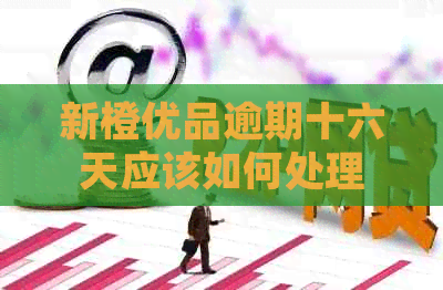 新橙优品逾期十六天应该如何处理