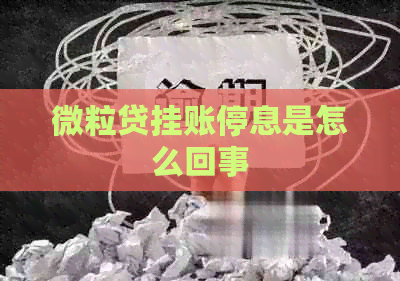 微粒贷挂账停息是怎么回事