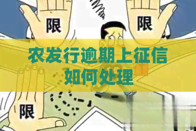 农发行逾期上如何处理
