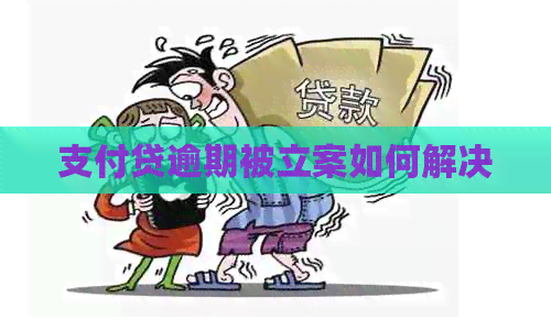 支付贷逾期被立案如何解决