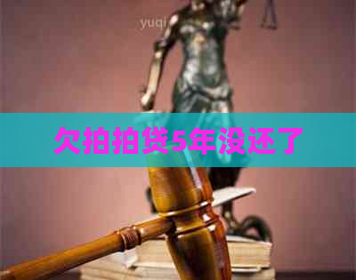 欠5年没还了